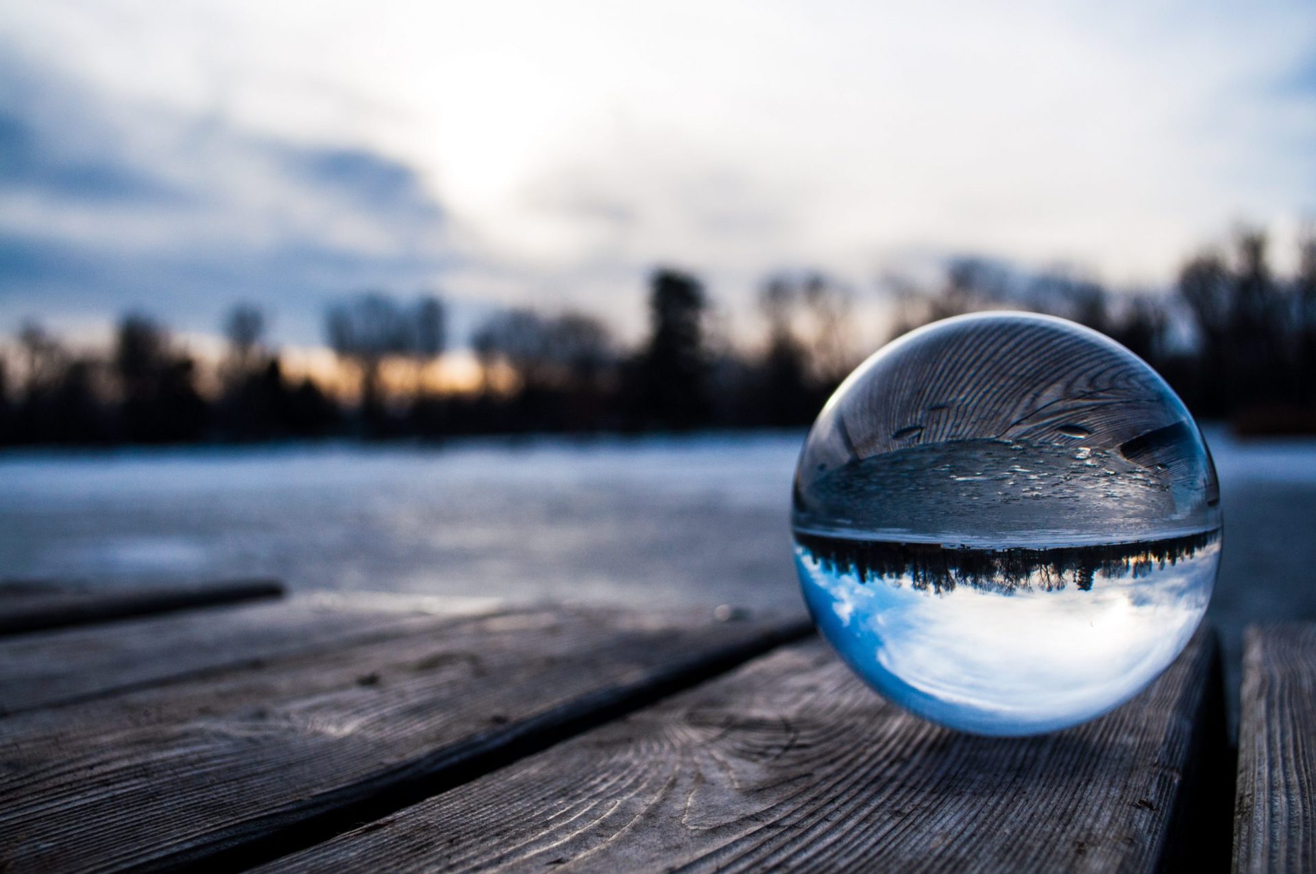 pexels-manuela-adler-949215